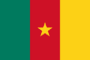 Flag of Cameroon